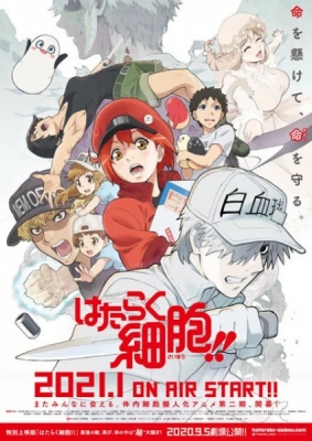 Cells at Work! 2nd Season (Dub)