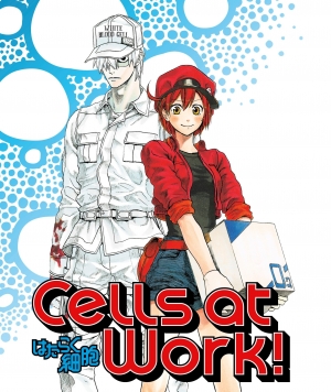 Cells at Work Special (Dub)