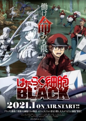 Cells at Work! Code Black (TV) (Dub)